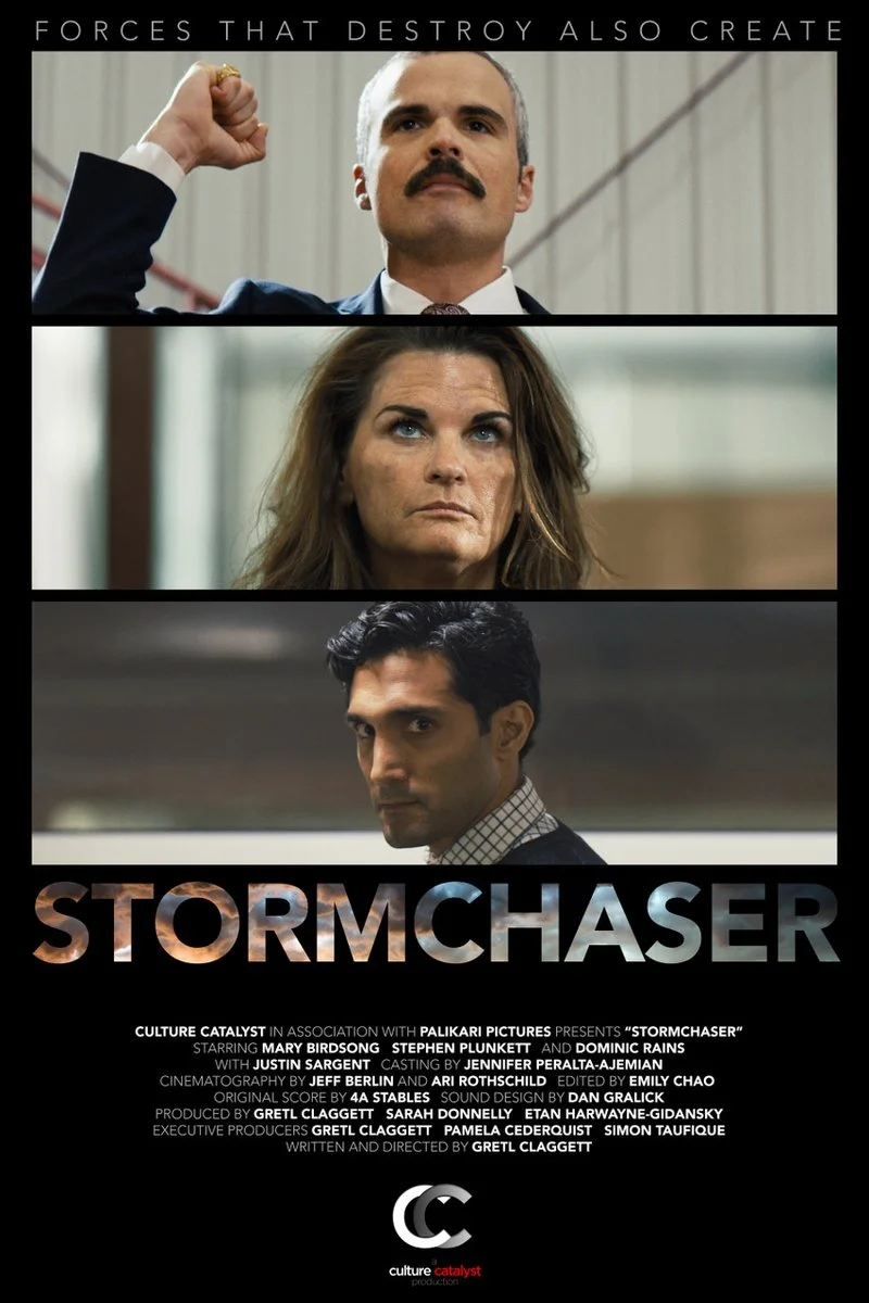 Poster van Stormchaser