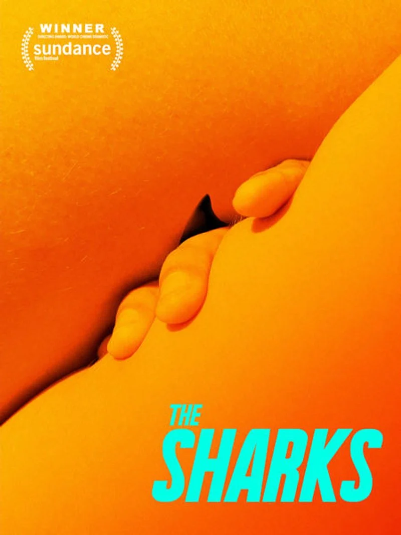 Poster van The Sharks