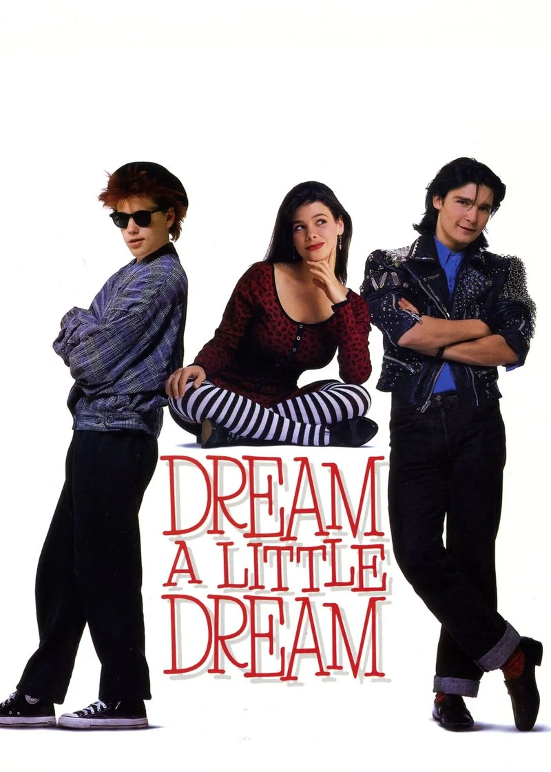 Poster van Dream a Little Dream