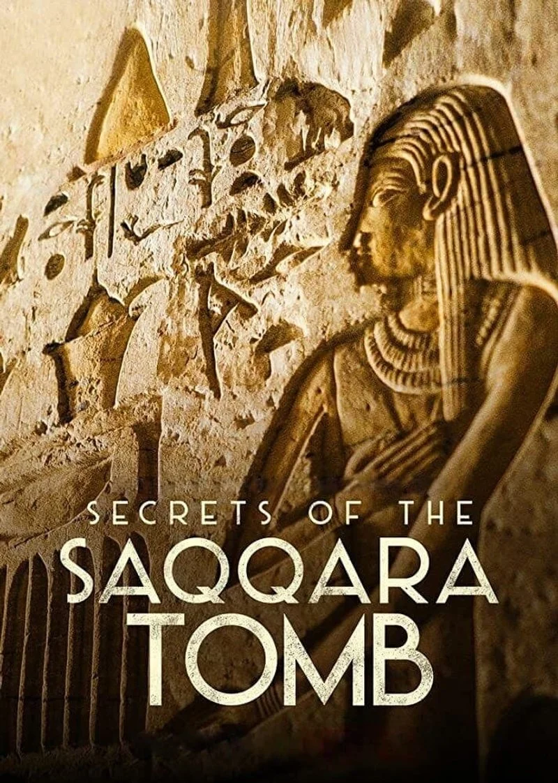 Affiche de Les Secrets de la tombe de Saqqarah