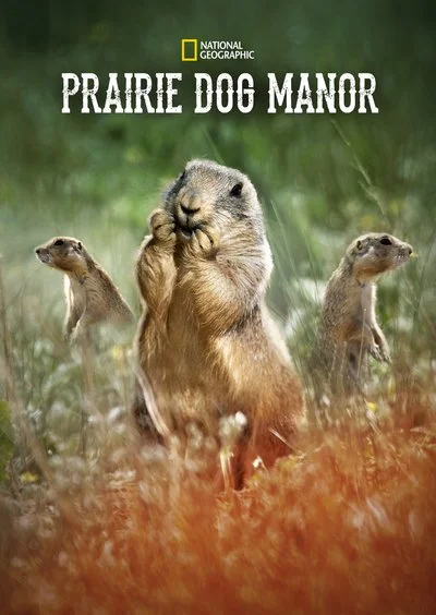 Poster Prairie Dog Manor