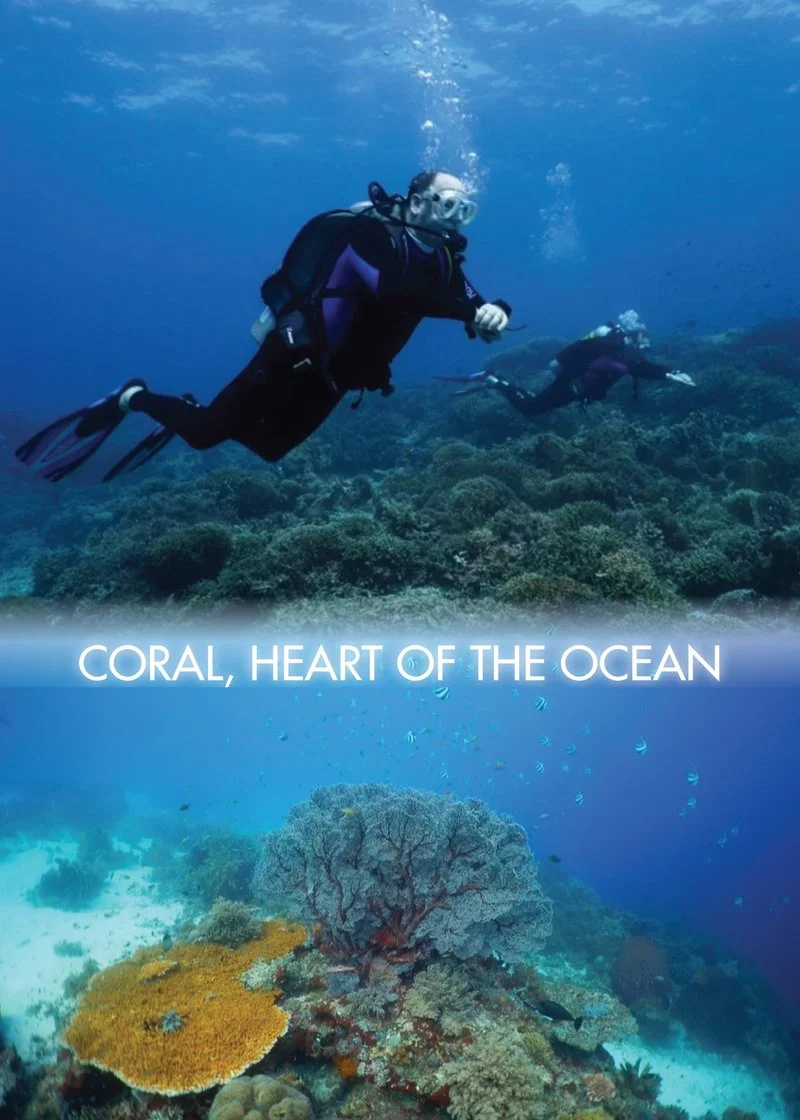 Poster van Corail, le cœur de l’océan