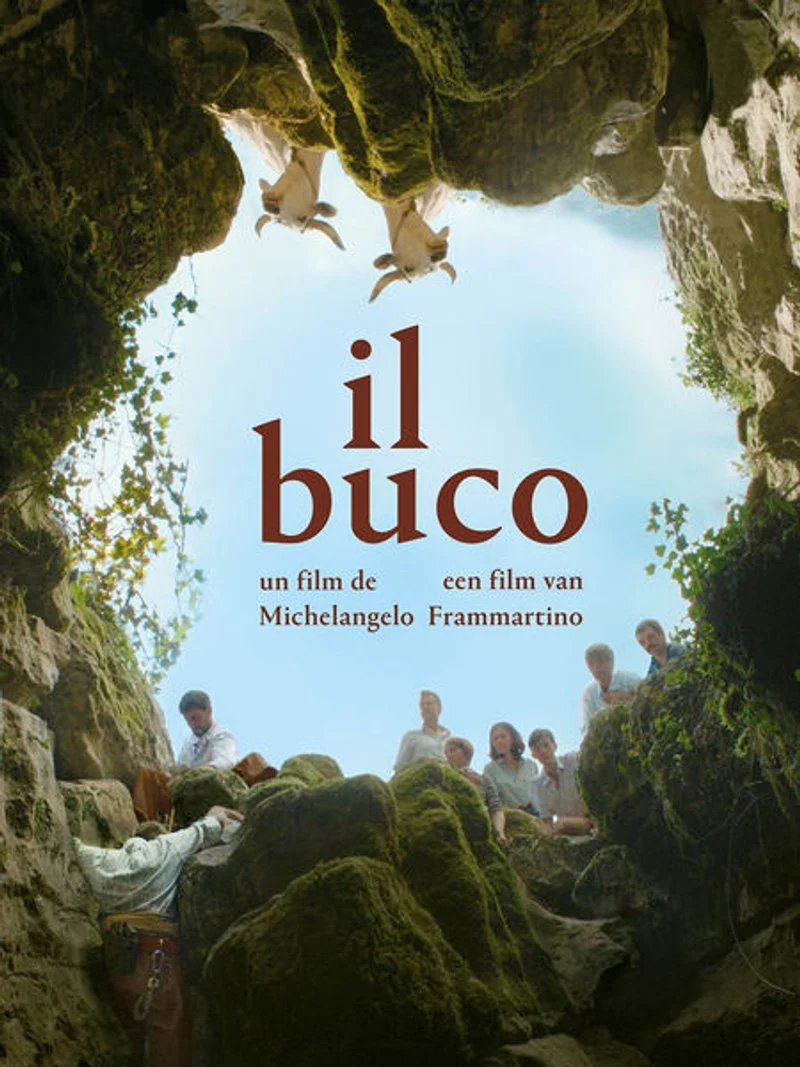 Affiche de Il Buco