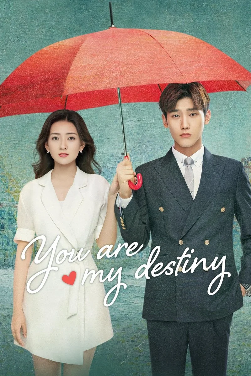 Affiche de You are My Destiny