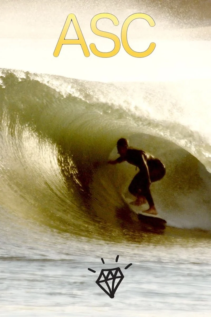 Affiche de Alternative Surf Craft