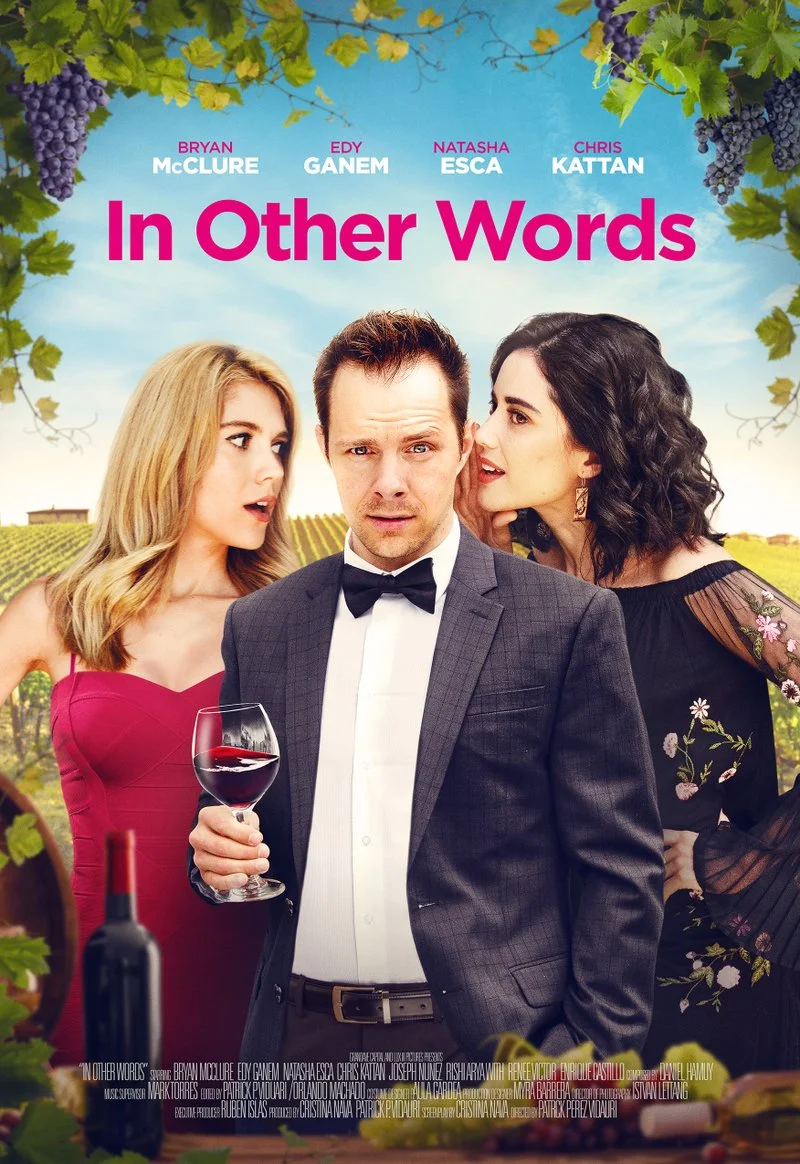 Affiche de In other words
