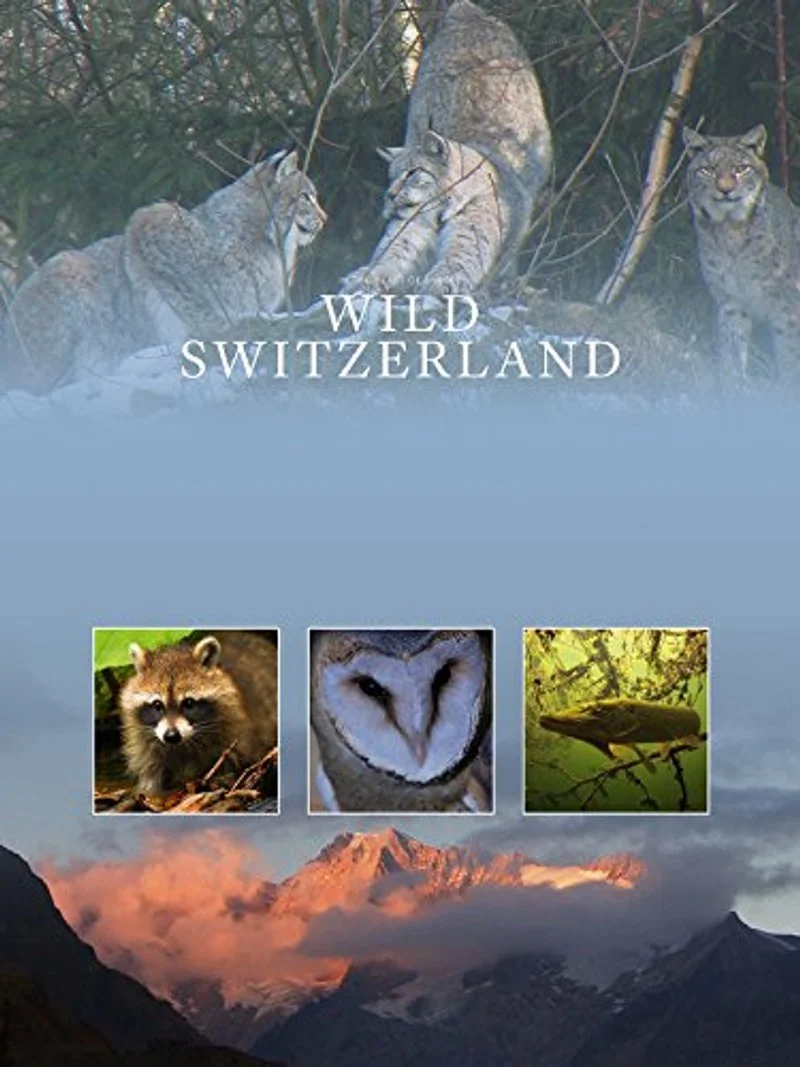 Poster van Wild Switzerland