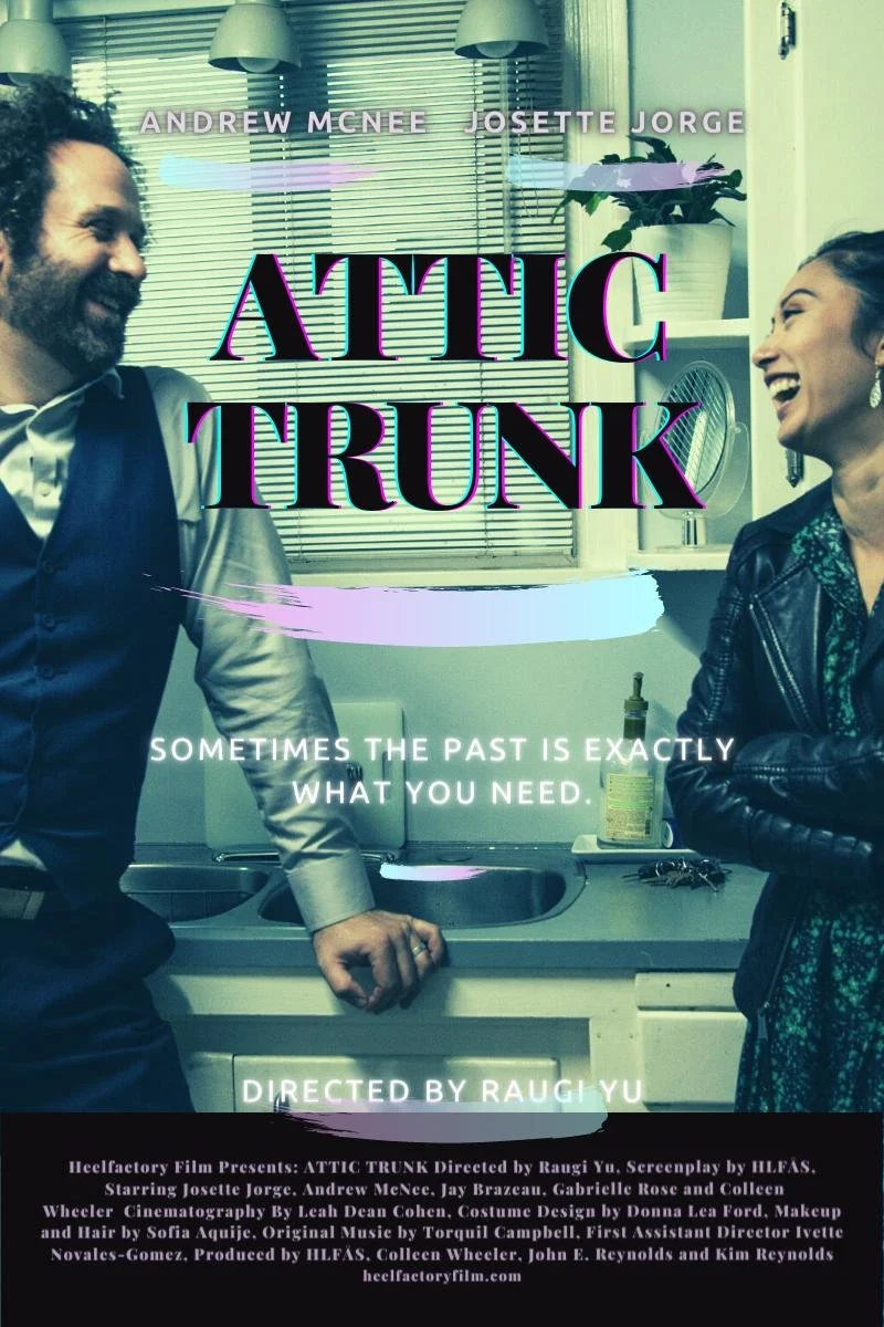 Affiche de Attic Trunk