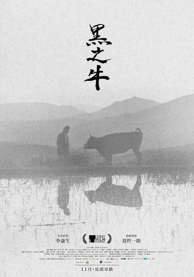 Poster Black Ox