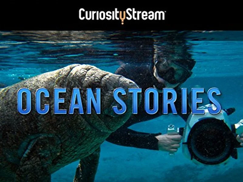 Affiche de Ocean Stories