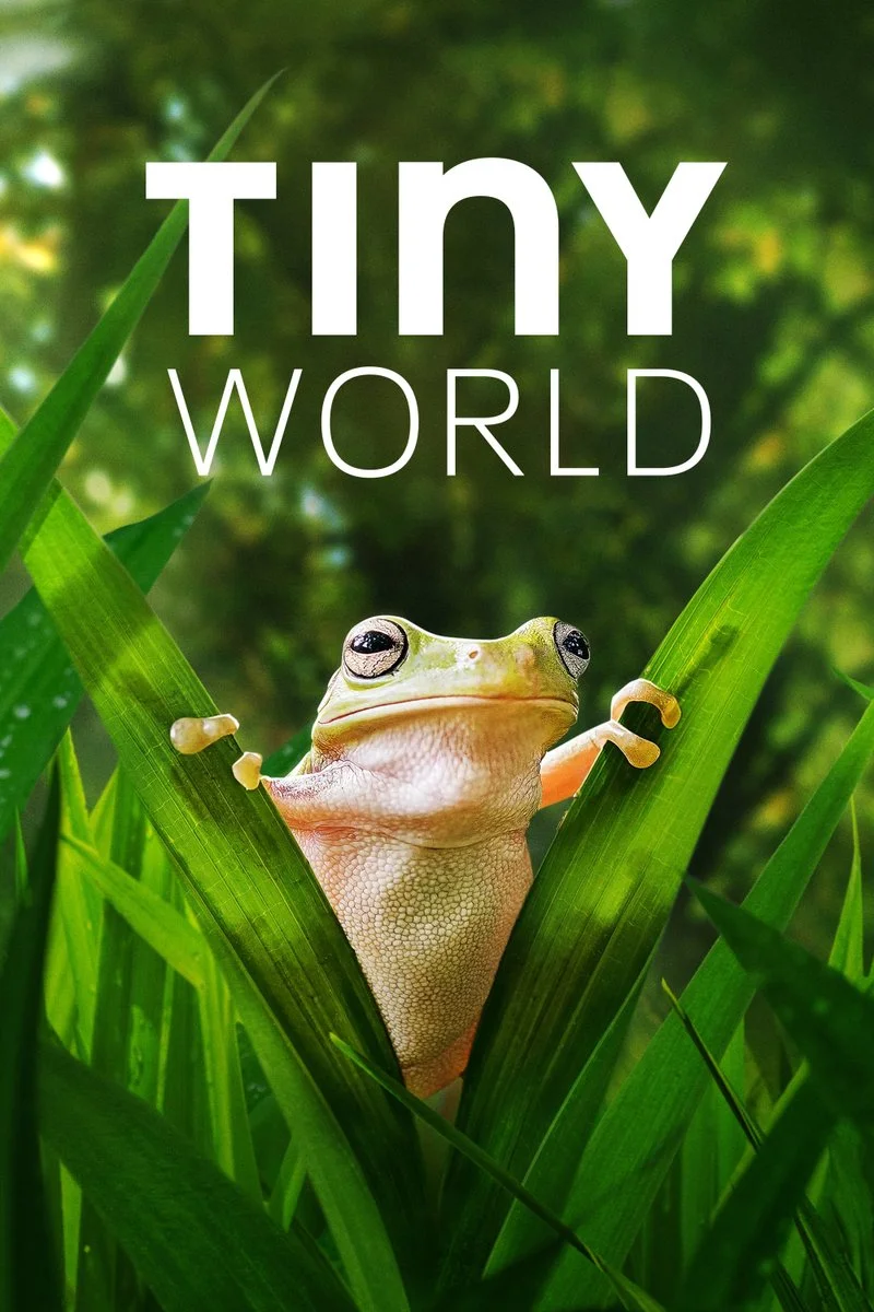 Affiche de Regarder Tiny World&nbsp;
