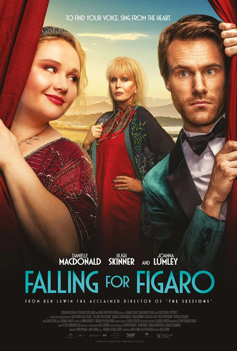 Affiche de Falling for Figaro