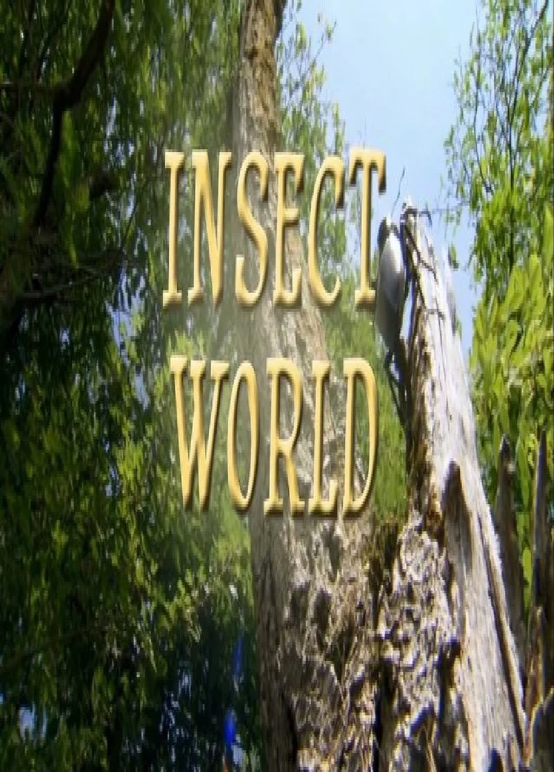 Poster van Insect World