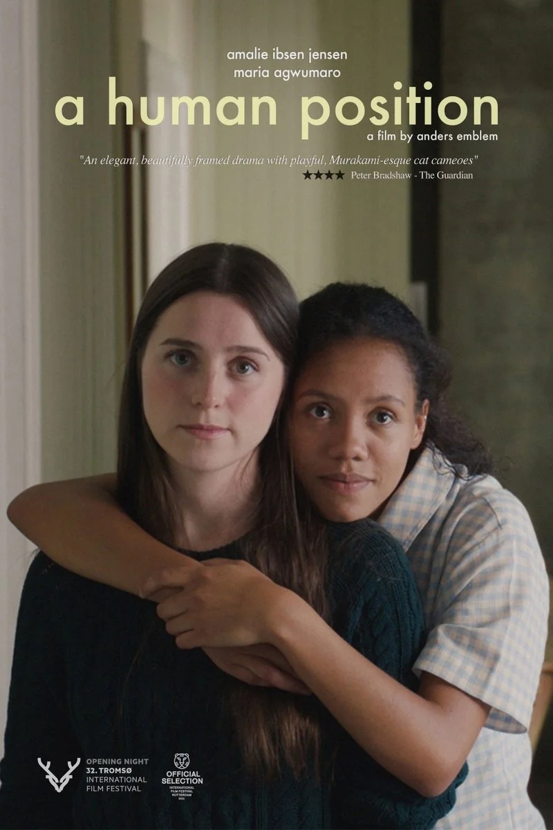 Affiche de A Human Position