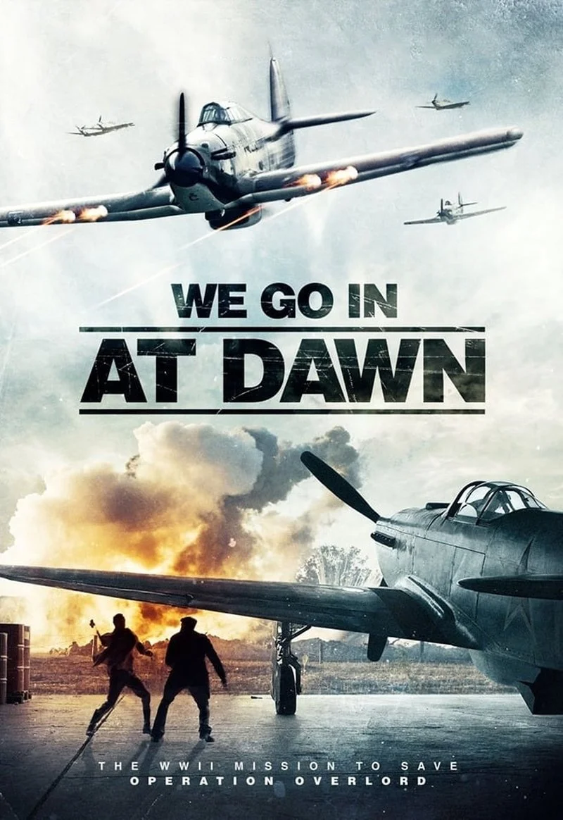 Affiche de We Go in at Dawn