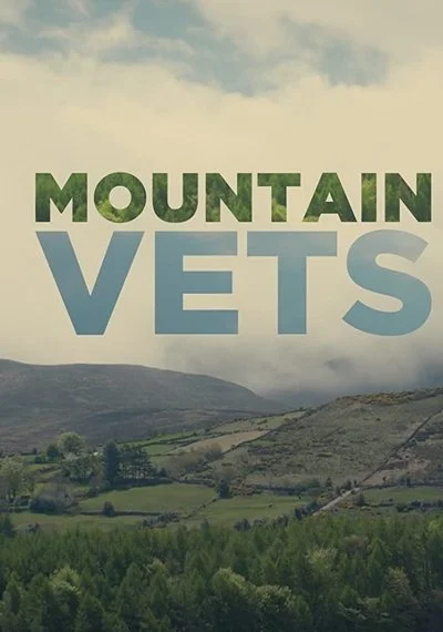 Poster Mountain Vets