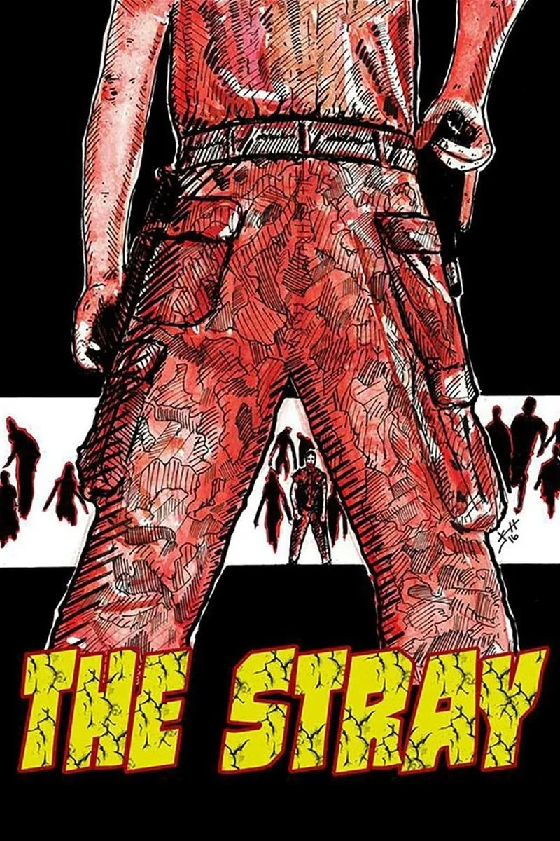 Affiche de The Stray