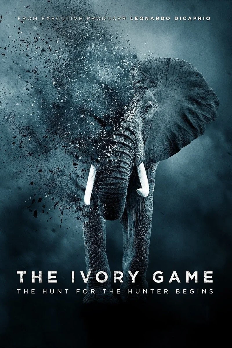 Poster van The Ivory Game