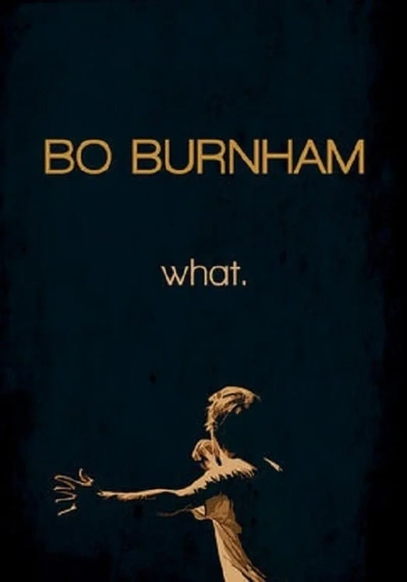 Poster van Bo Burnham: what.