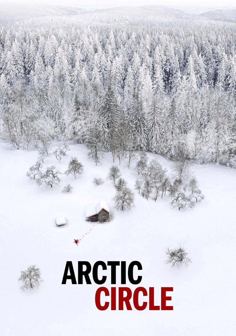 Affiche de Arctic Circle