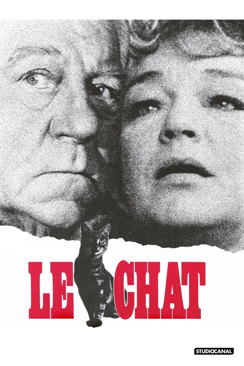 Affiche de Le chat