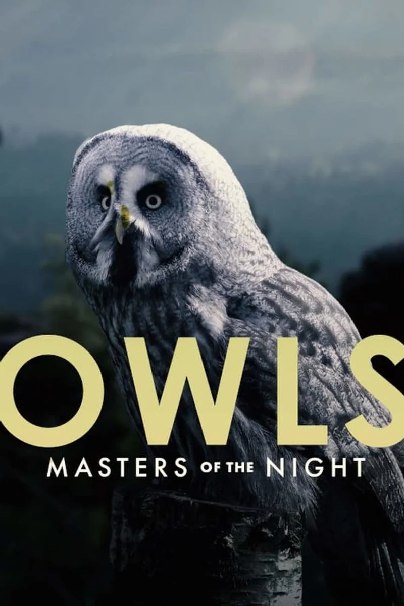 Affiche de Owls: Masters of the Night