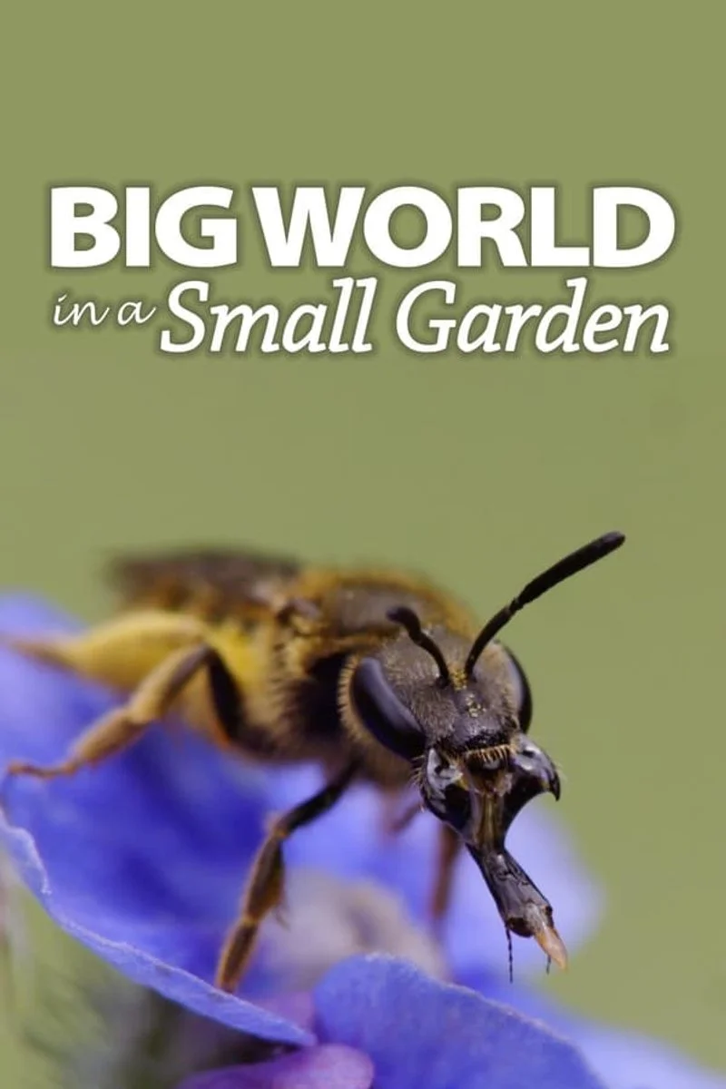 Affiche de Big World In A Small Garden