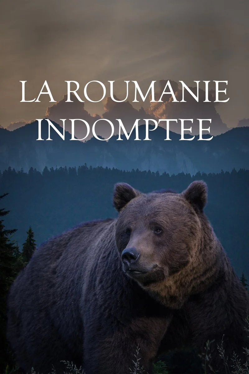Affiche de La Roumanie indomptée