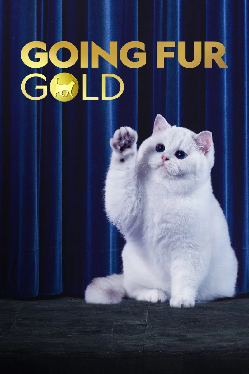 Affiche de Going Fur Gold