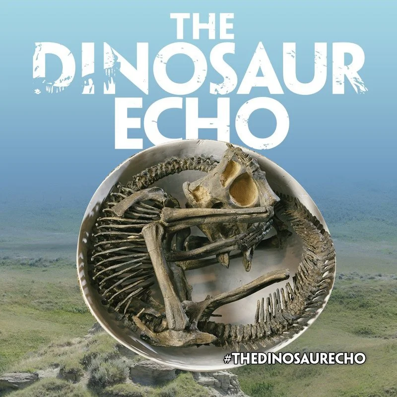 Poster van Les Chemins des Dinosaurs