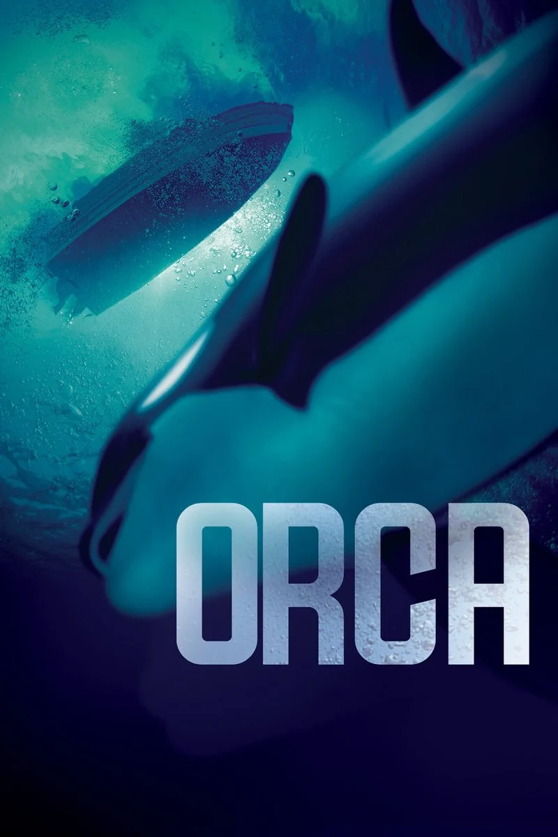 Affiche de Orca