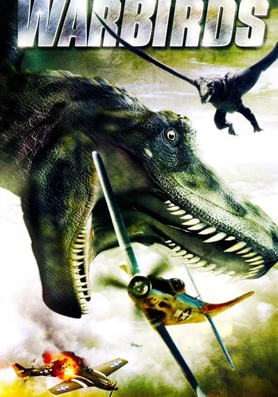 Affiche Warbirds