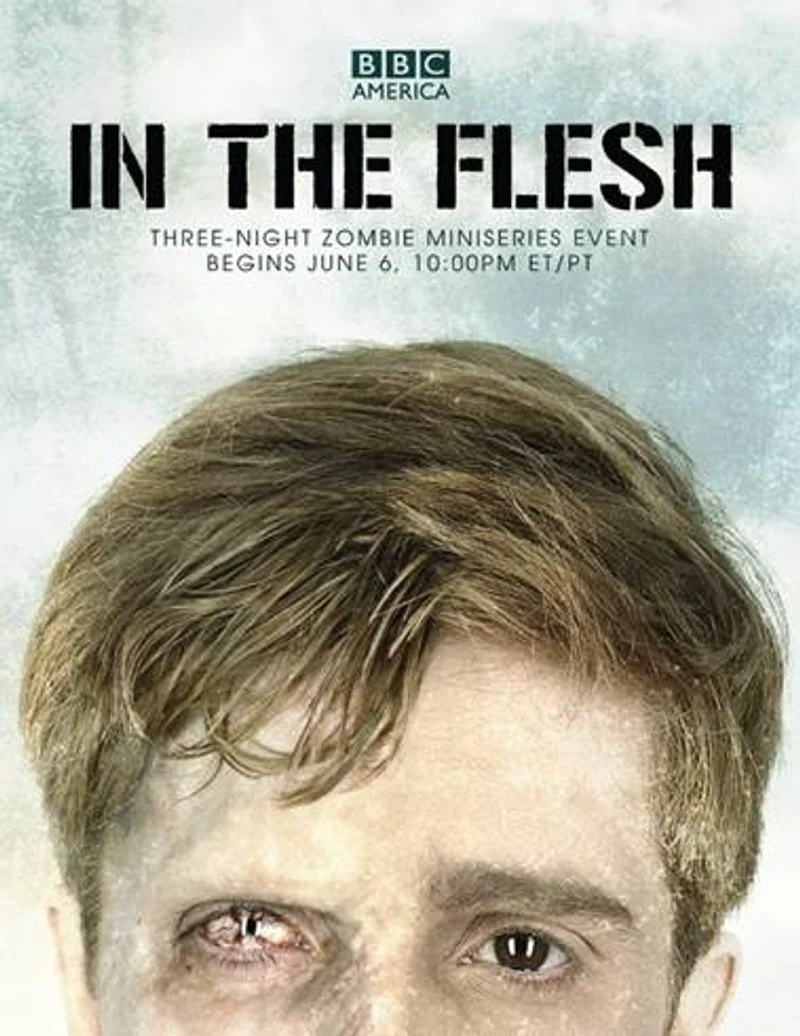 Affiche de In the Flesh