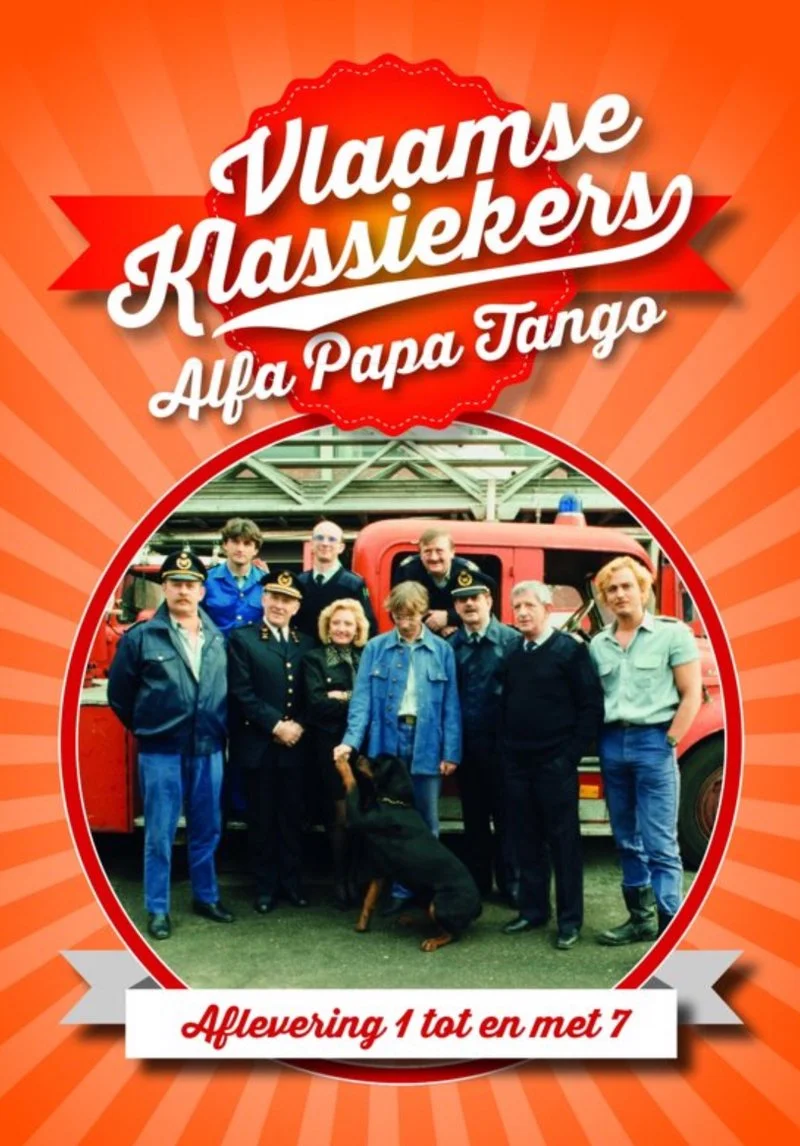 Affiche de Alfa Papa Tango
