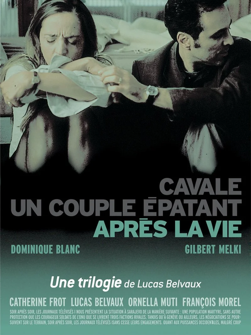 Affiche de After Life
