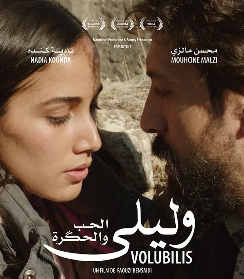 Poster van Volubilis