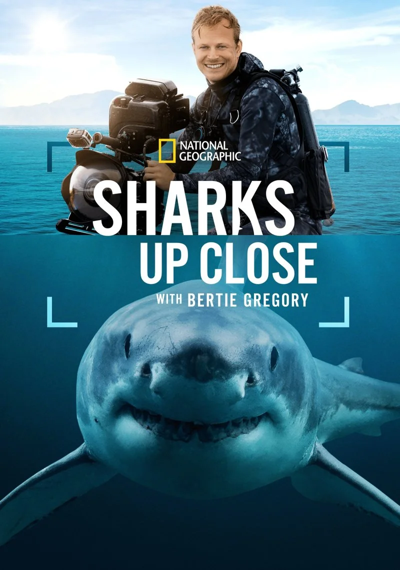 Poster van Sharks Up Close with Bertie Gregory