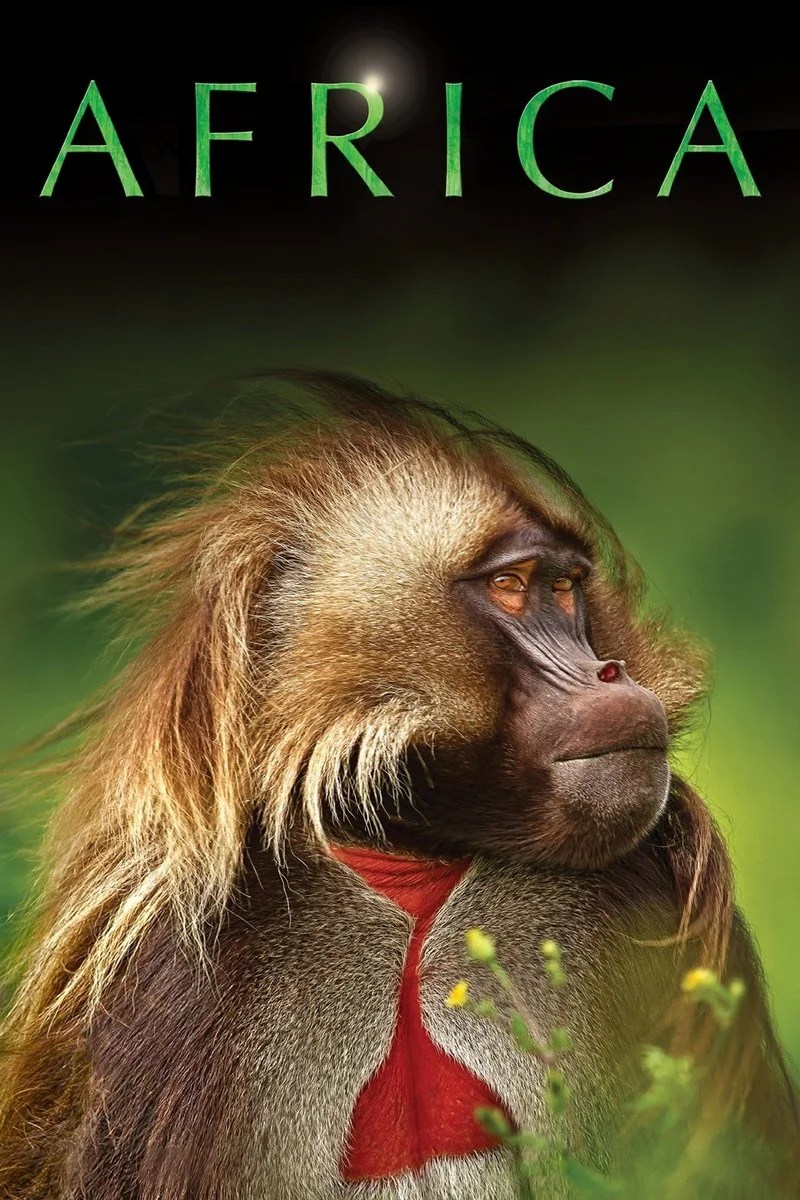 Poster van Afrique Sauvage