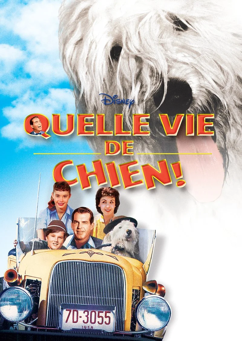 Affiche de Quelle vie de chien ! (1959)