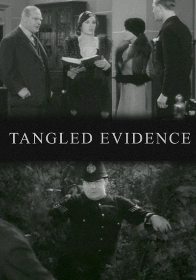 Affiche Tangled Evidence