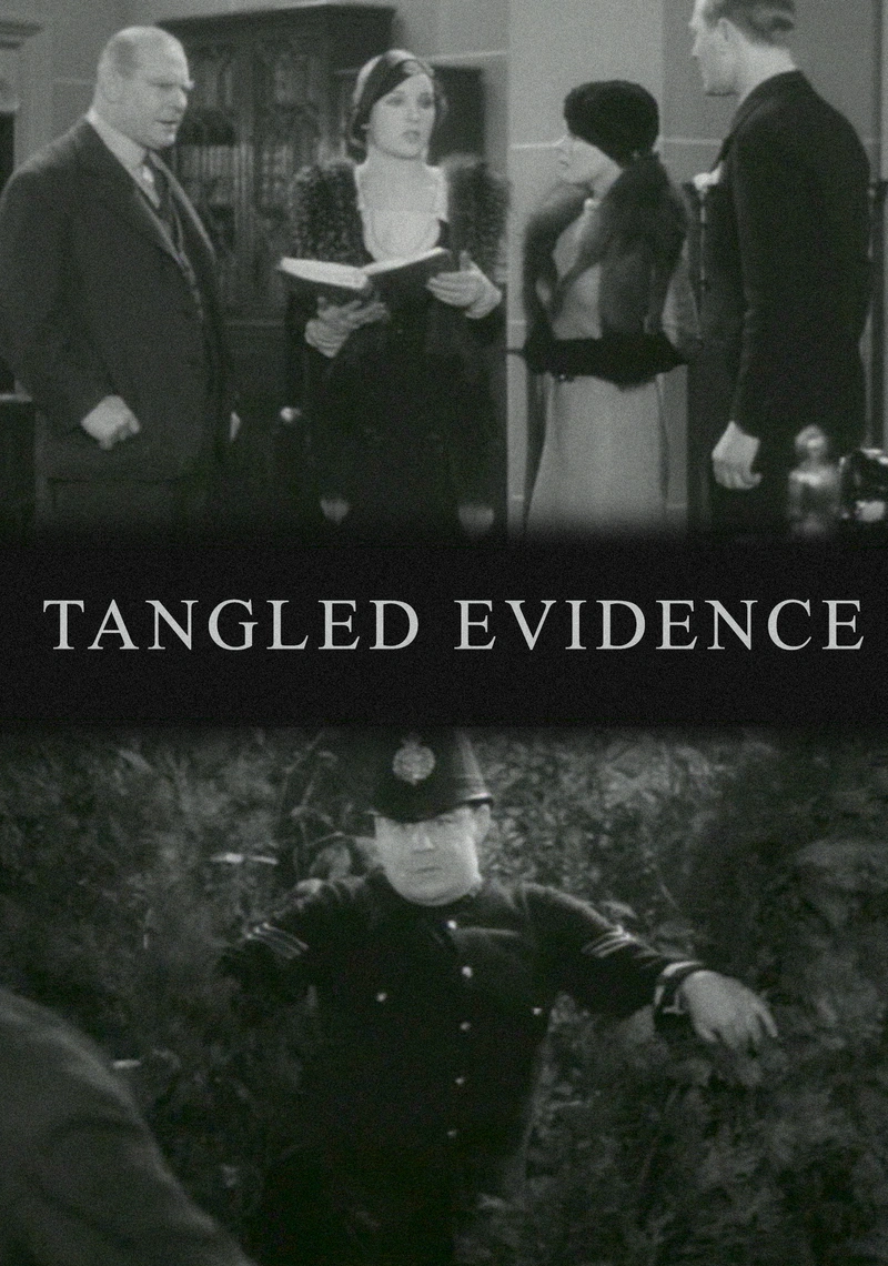 Affiche de Tangled Evidence