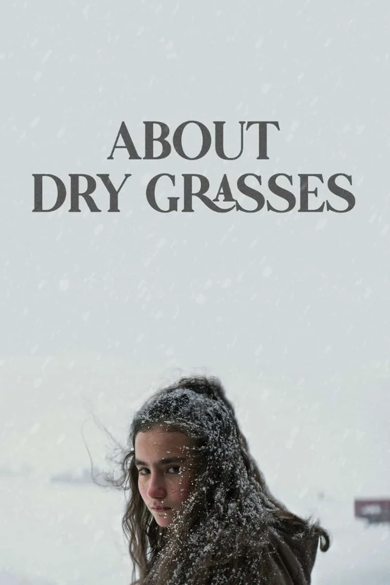 Affiche de Les herbes sèches