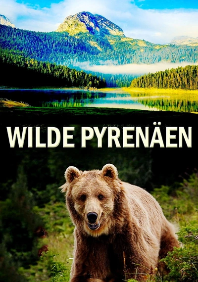 Affiche La face sauvage des Pyrénées