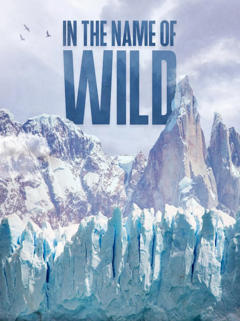 Poster van In the Name of Wild