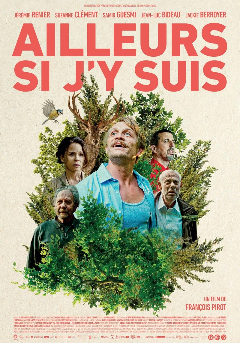 Affiche de Ailleurs si j'y suis