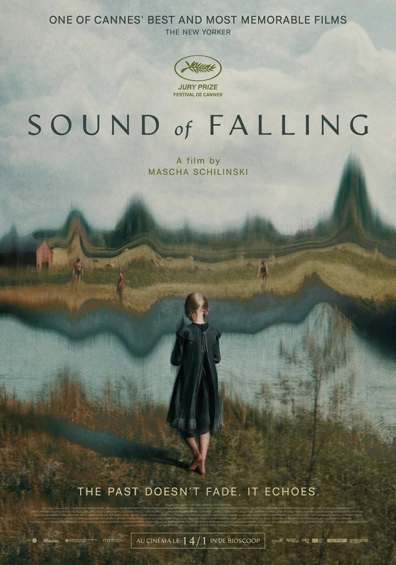 Affiche de Sound of Falling