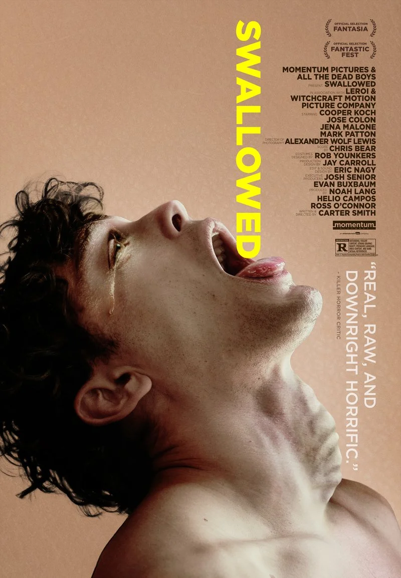 Affiche de Swallowed