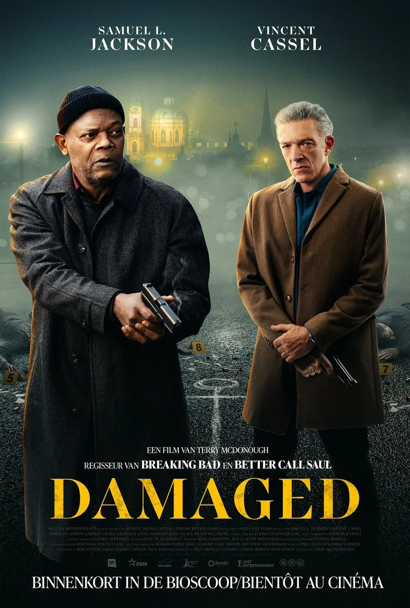 Poster van Damaged