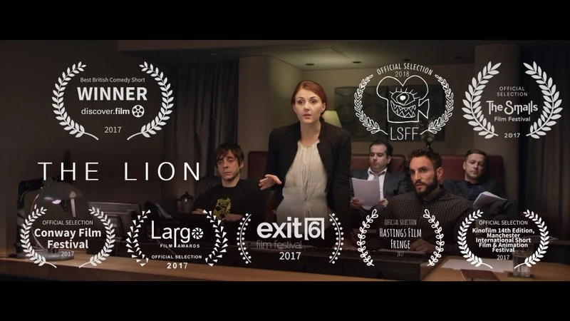 Affiche de The lion