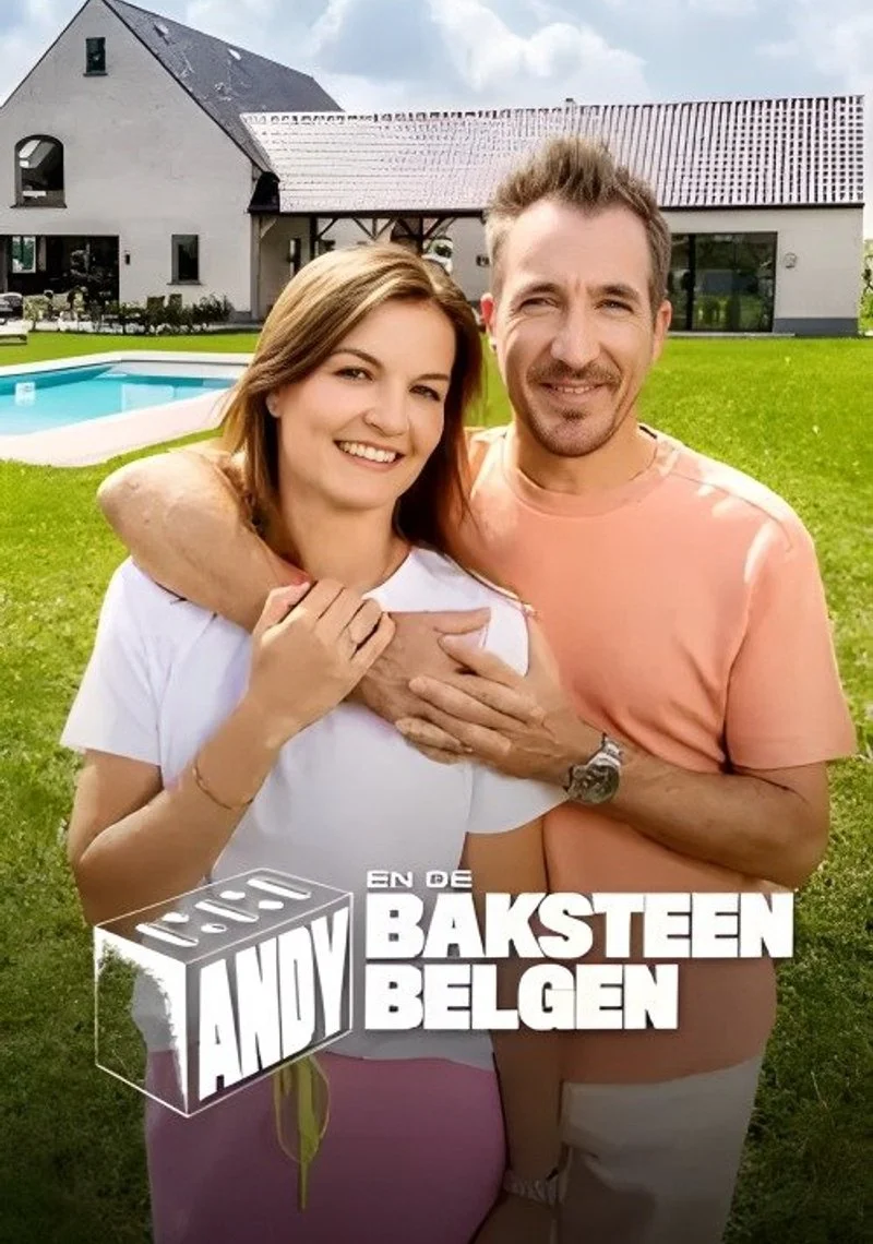 Affiche de Andy en de Baksteen Belgen